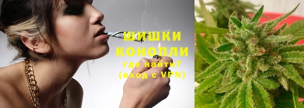 мяу мяу мука Баксан