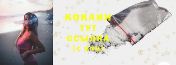 мяу мяу мука Баксан