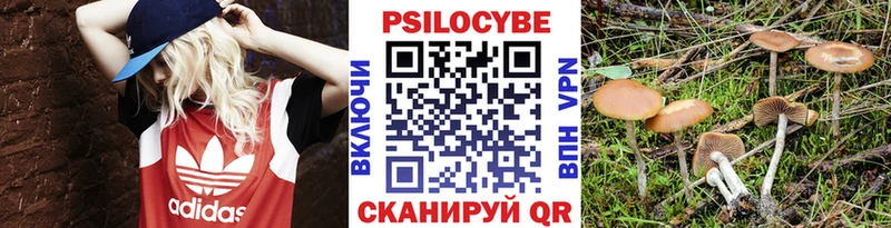 Псилоцибиновые грибы Magic Shrooms  omg маркетплейс  Эртиль 